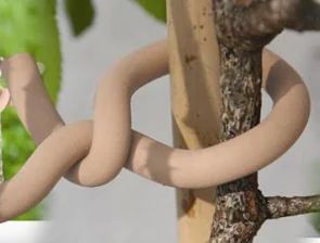 Lien pour plantes Slim Soft Tie Woody, Ø 3,5 mm, longueur 8 m