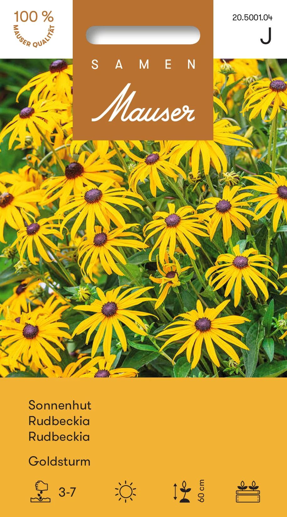 Rudbeckia Goldsturm