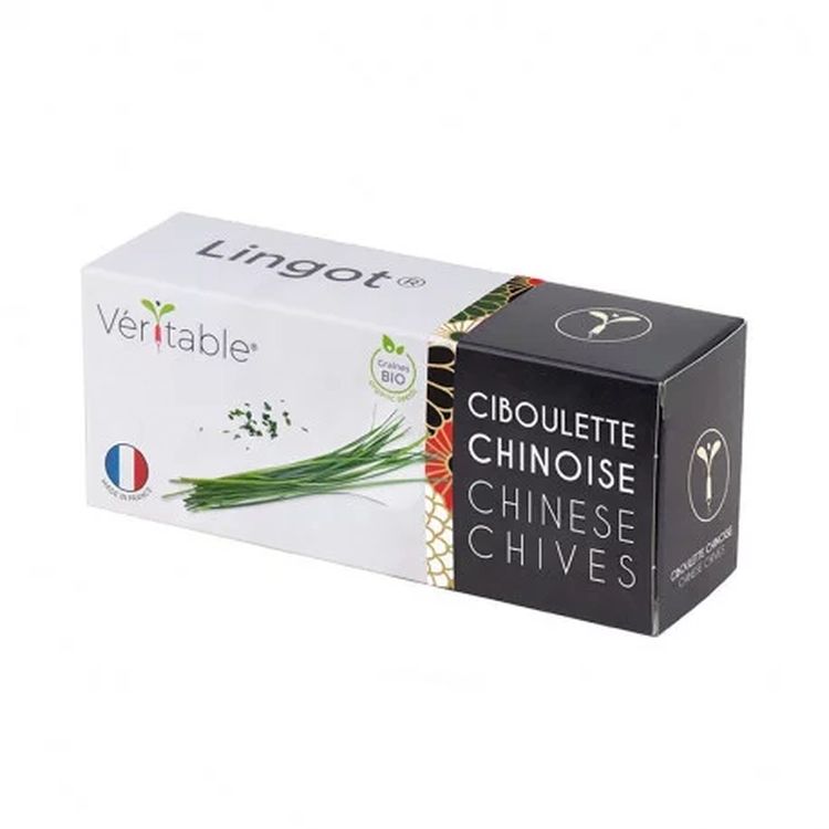 Graines Ciboulette chinoise bio - Lingot® Véritable