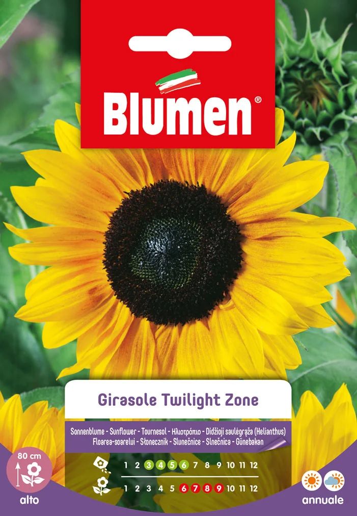 Tournesol Twilight Zone