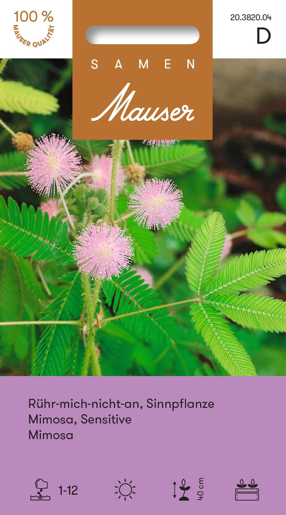 Mimosa (Sensitive)