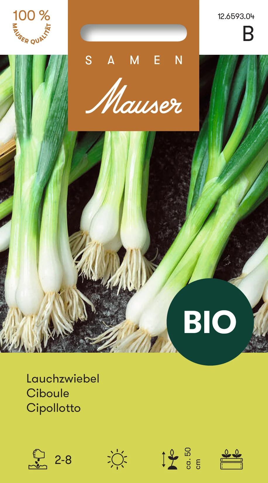 BIO Ciboule