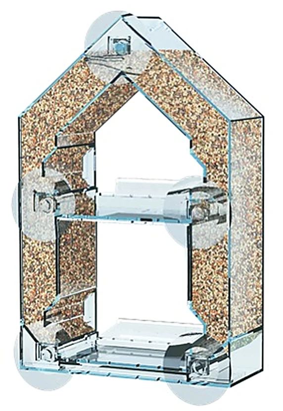 Mangeoire de fenêtre transparente à ventouses