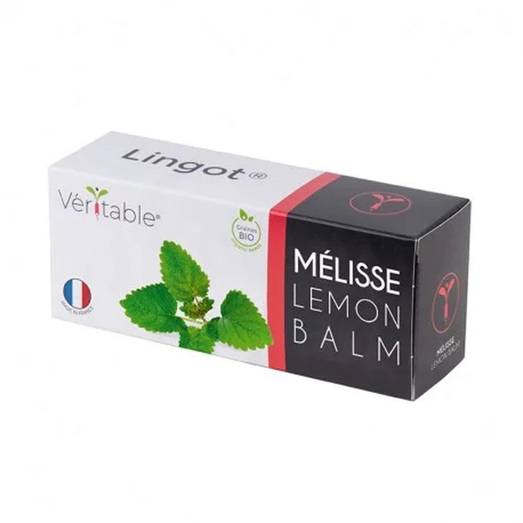 Graines Mélisse bio - Lingot® Véritable