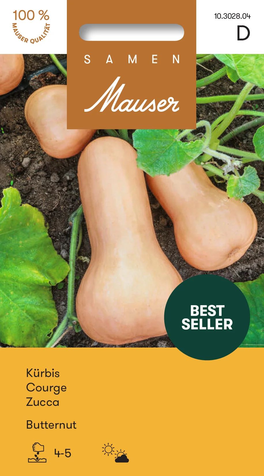 Courge Butternut