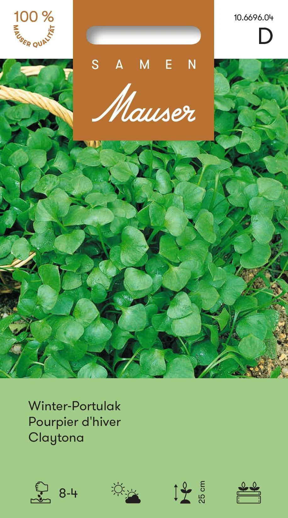 Pourpier d’hiver