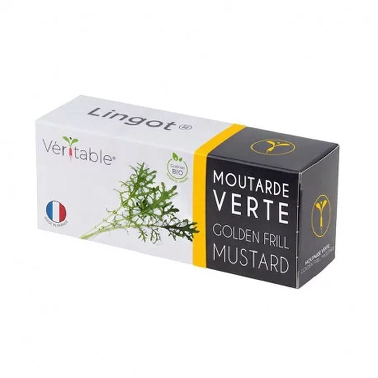 Graines Moutarde verte bio - Lingot® Véritable