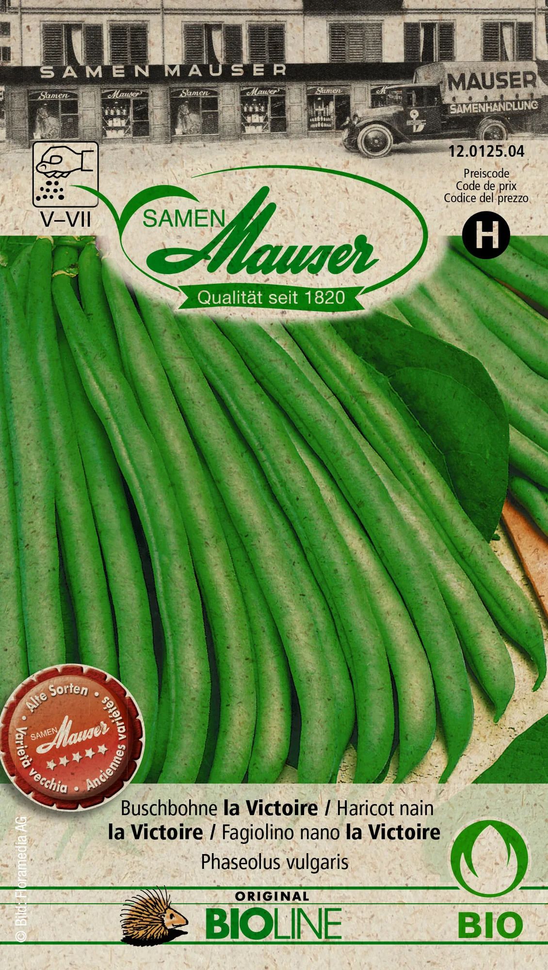 Bourgeon Bio Haricot nain la Victoire