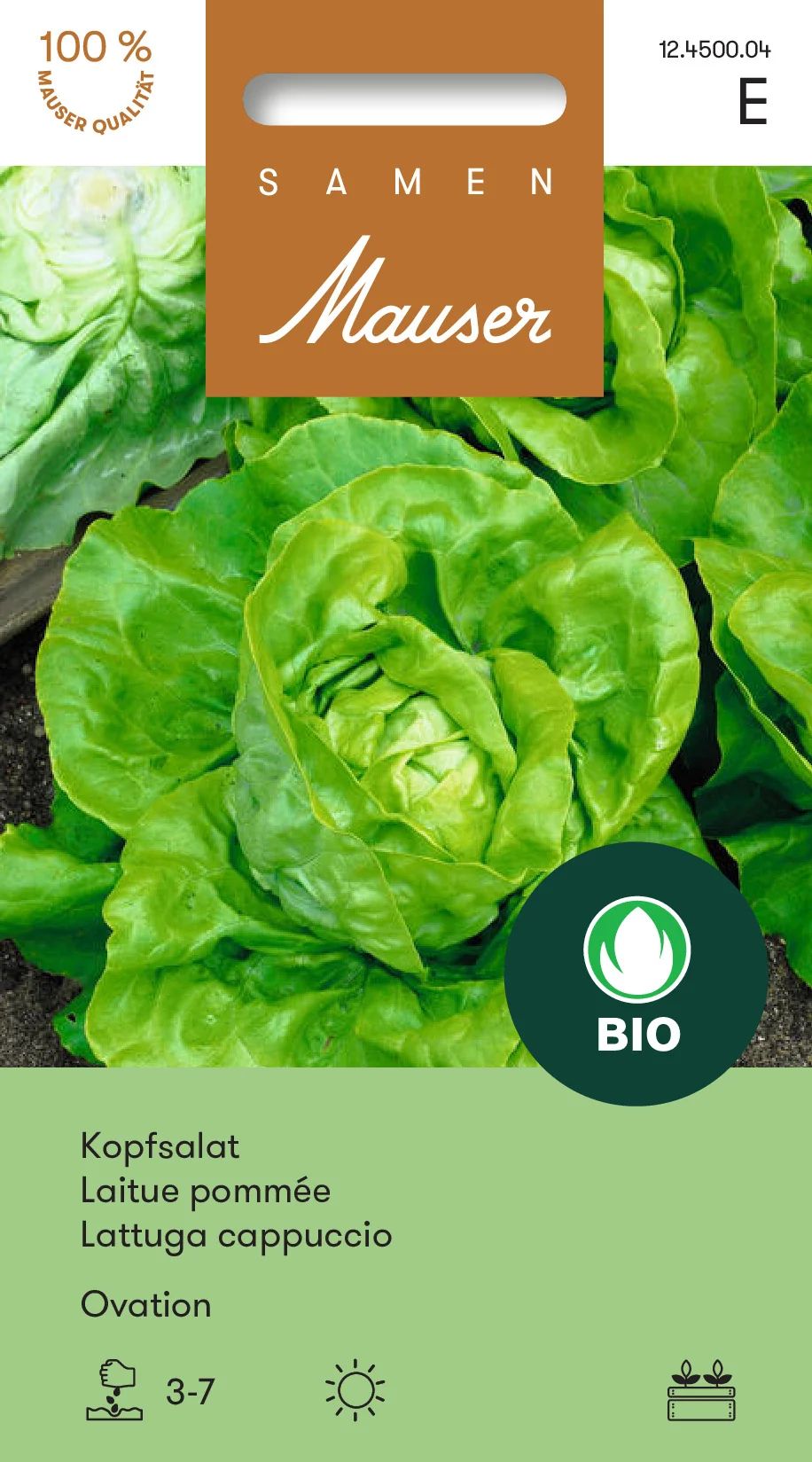 Bourgeon Bio Laitue pommée Ovation
