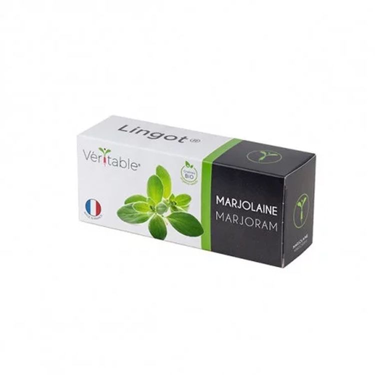 Graines Marjolaine bio - Lingot® Véritable