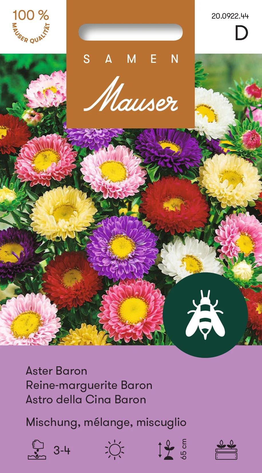 Reines-marguerites Baron mélange