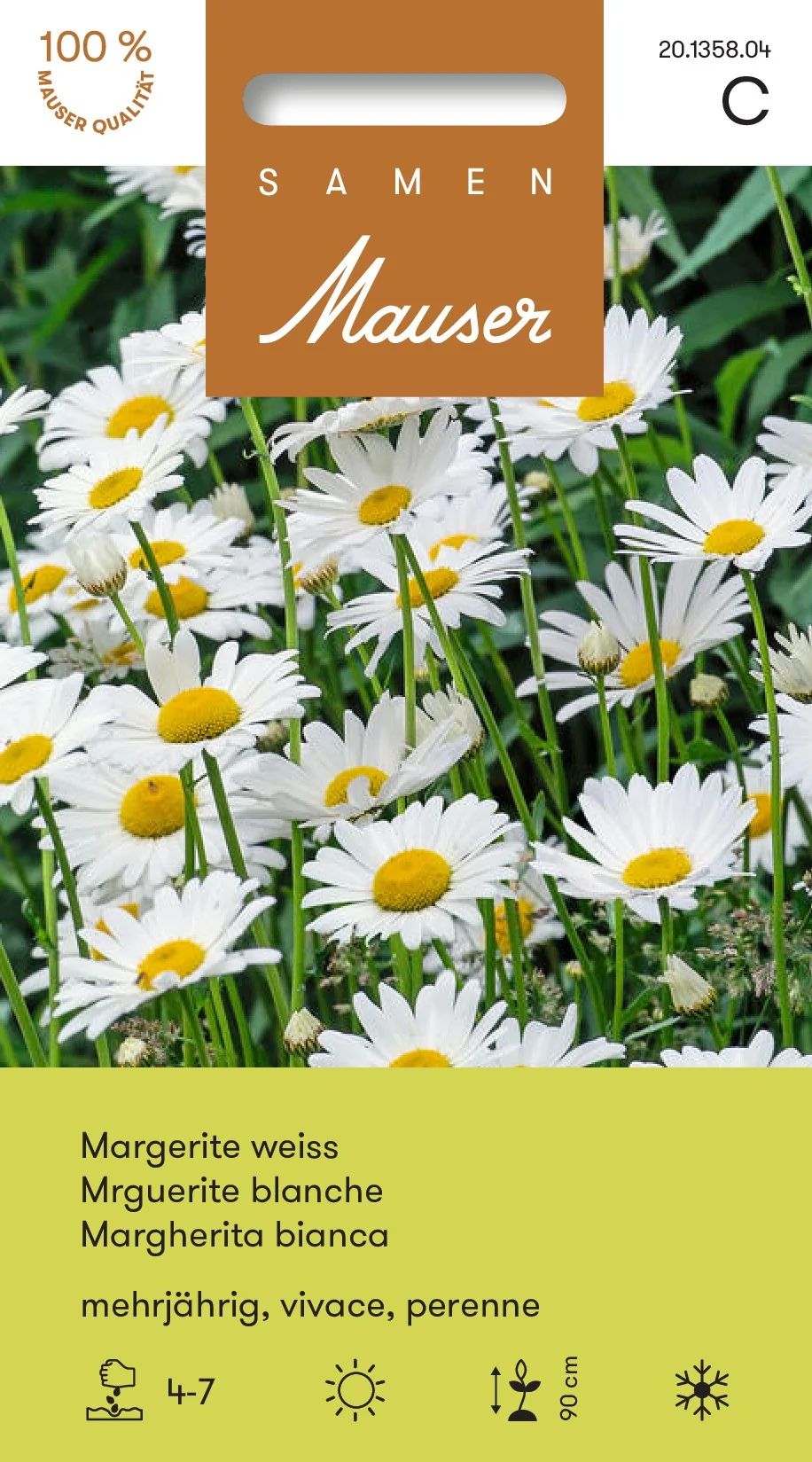 Marguerite blanche vivace