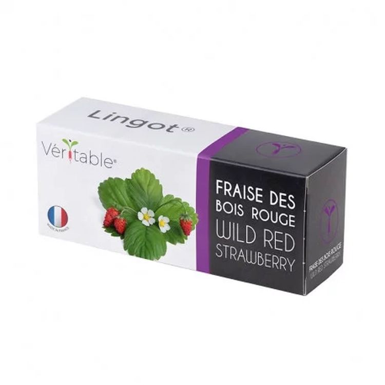 Graines Fraise des bois rouge - Lingot® Véritable