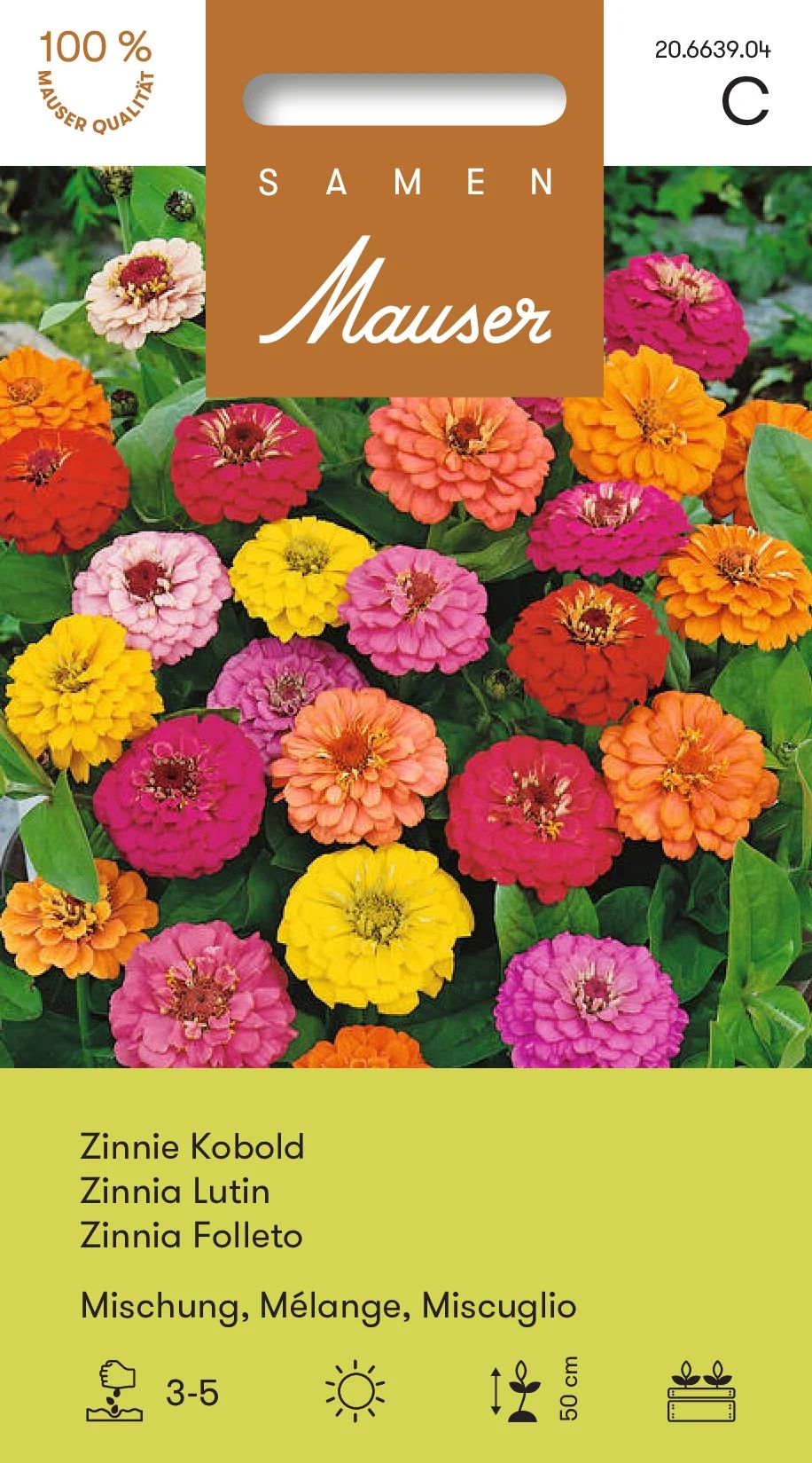Zinnia Lutin mélange
