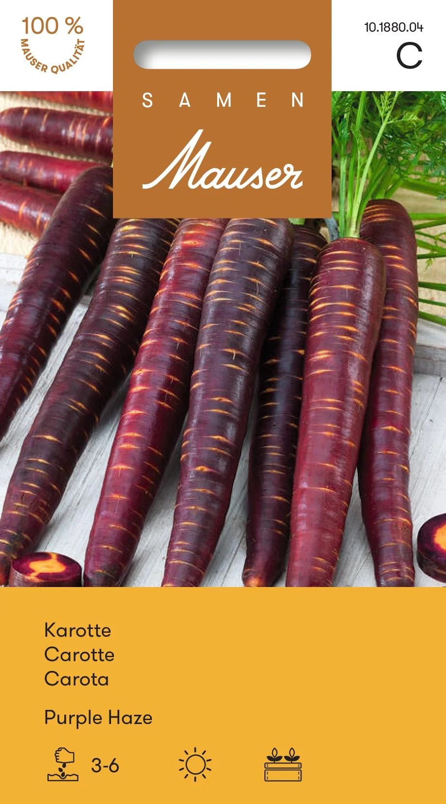 Carotte Purple Haze