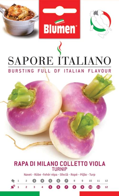 Navet di Milano Colletto Viola