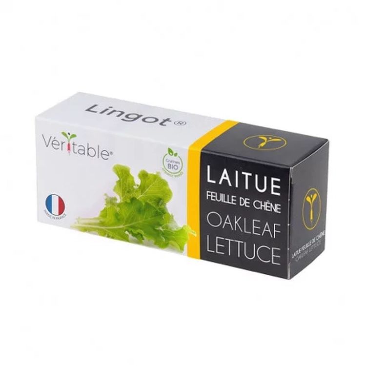 Graines Laitue Feuille de Chêne bio - Lingot® Véritable