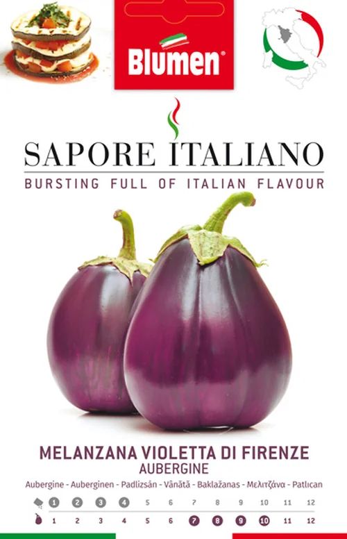 Aubergine Violetta di Firenze