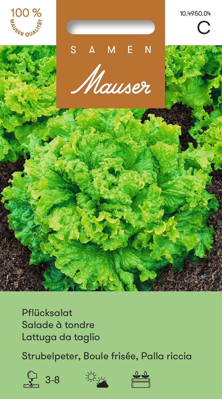 Salade à tondre Boule frisée