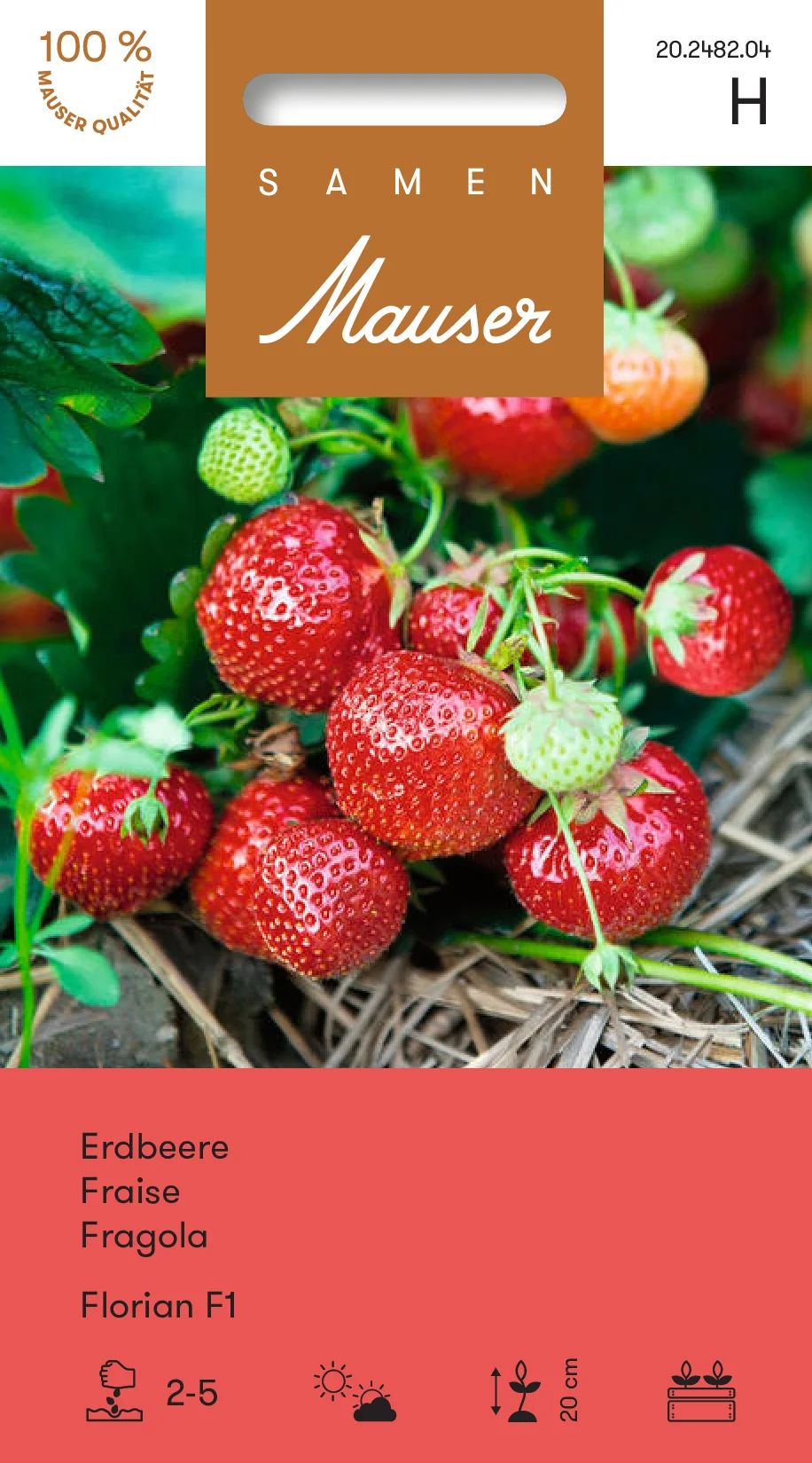 Fraises Florian F1