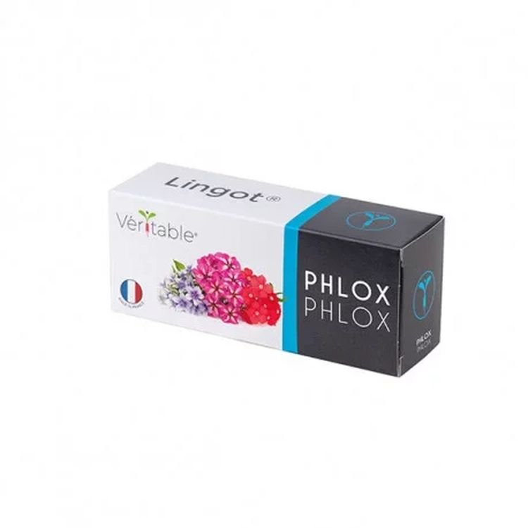 Graines Phlox - Lingot® Véritable