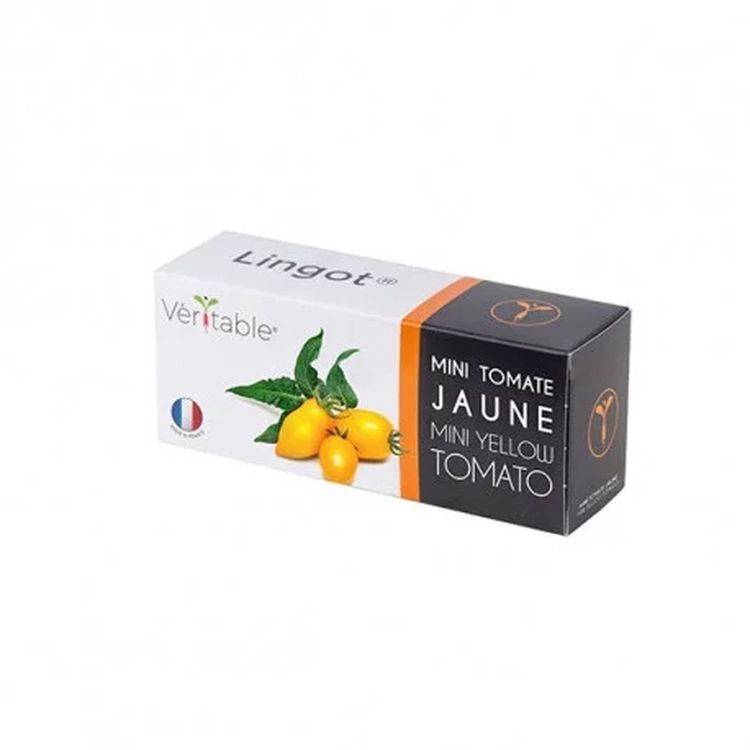 Graines Mini tomate jaune - Lingot® Véritable
