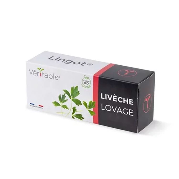 Graines Livèche bio - Lingot® Véritable