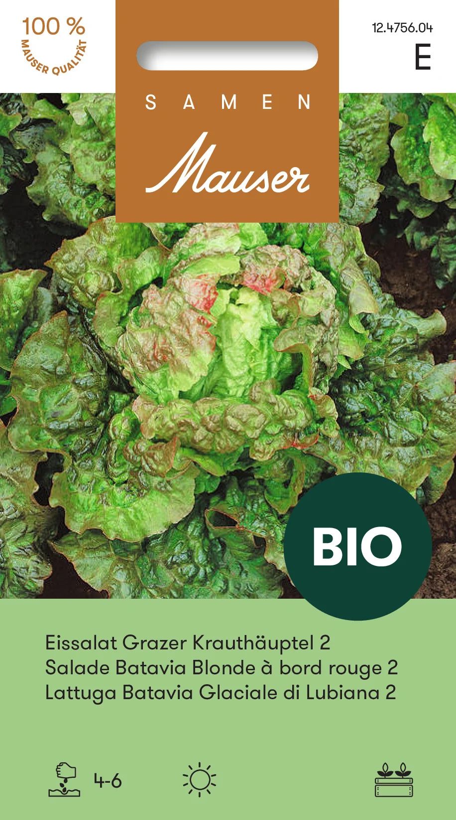 BIO Laitue Grazer Krauthäuptel 2