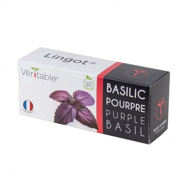 Graines Basilic pourpre bio - Lingot® Véritable
