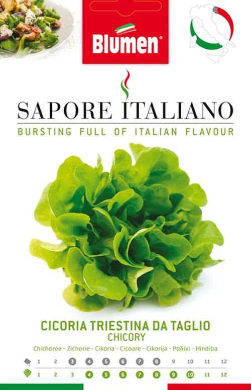Chicorée Triestina da Taglio