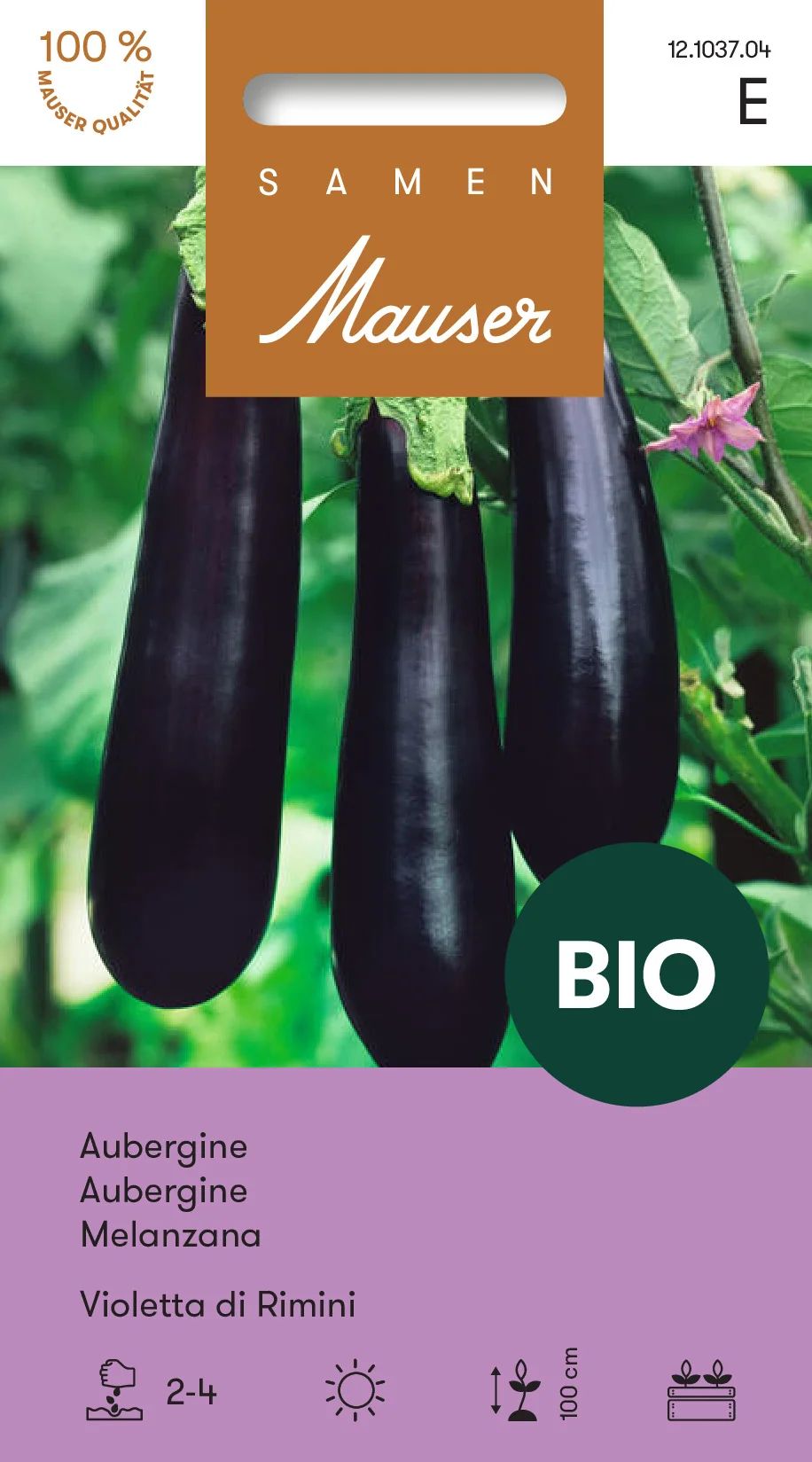 BIO Aubergine Violetta di Rimini