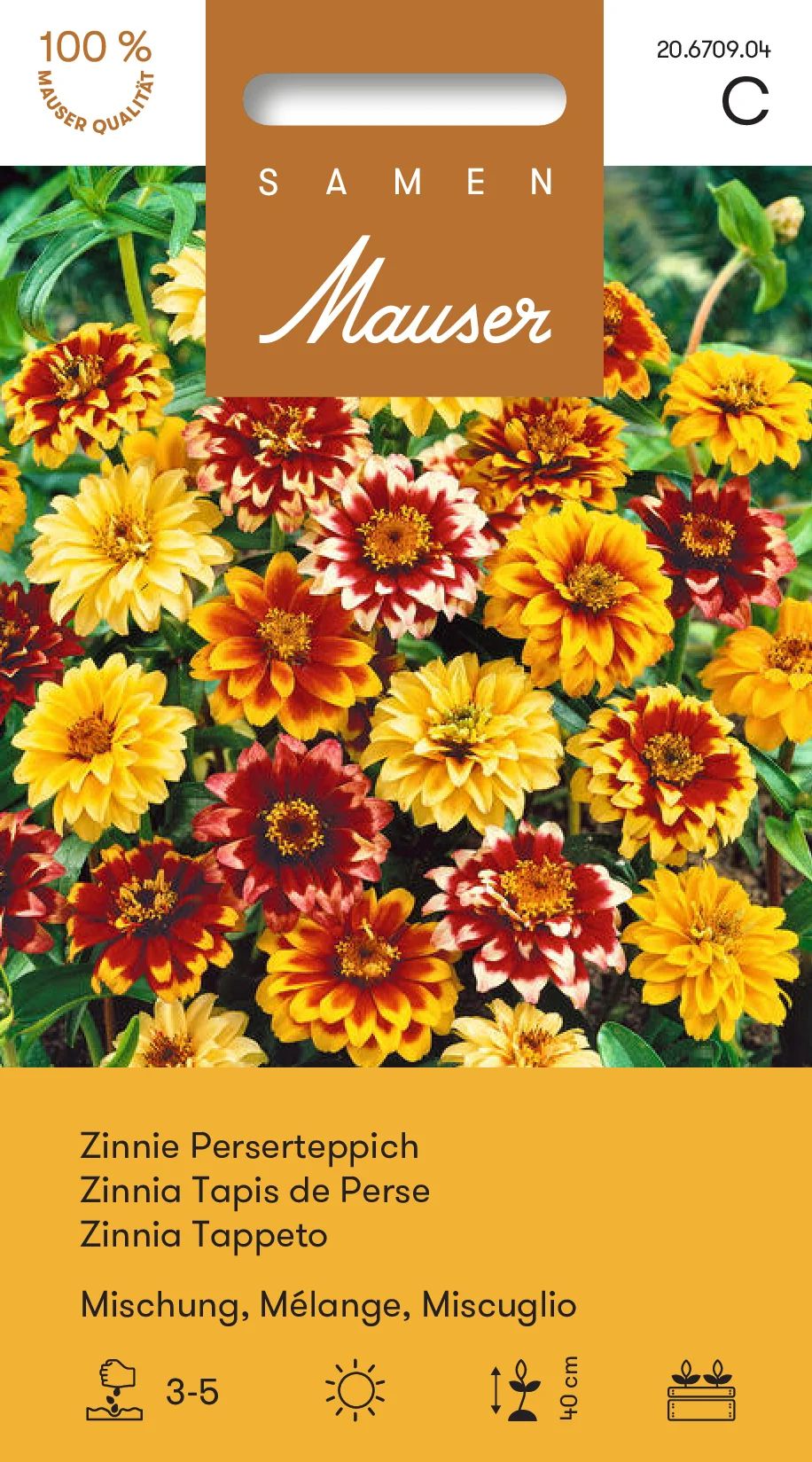 Zinnia Tapis de Perse mélange