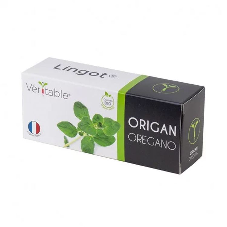 Graines Origan bio - Lingot® Véritable