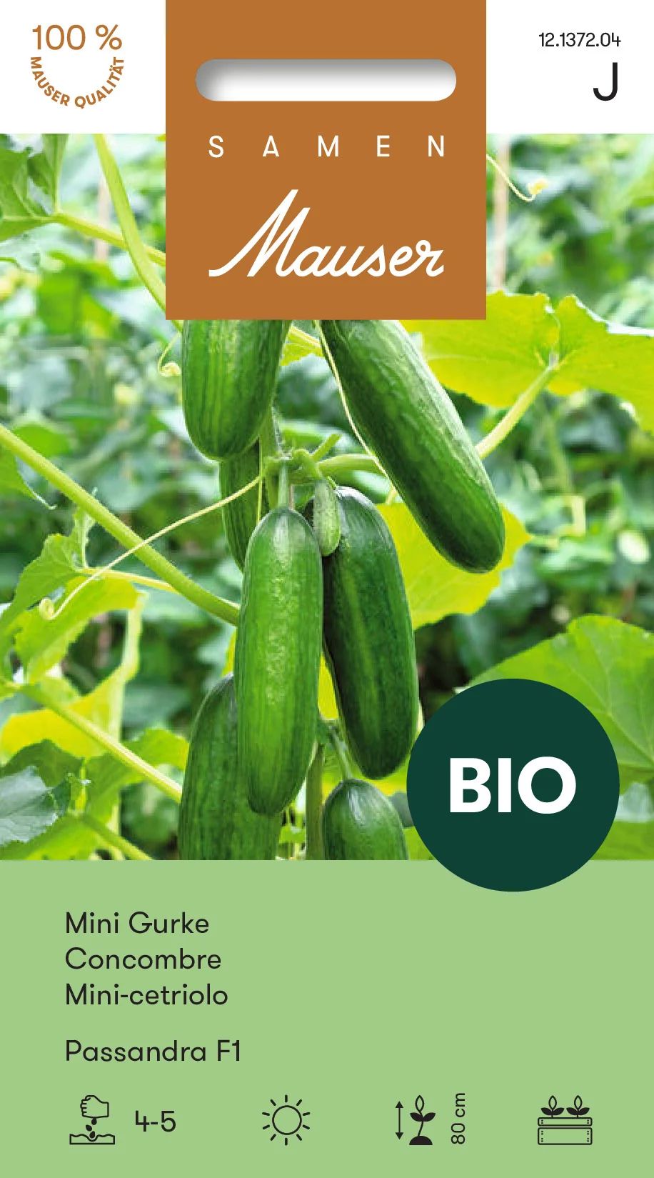 BIO Concombre nain Passandra F1