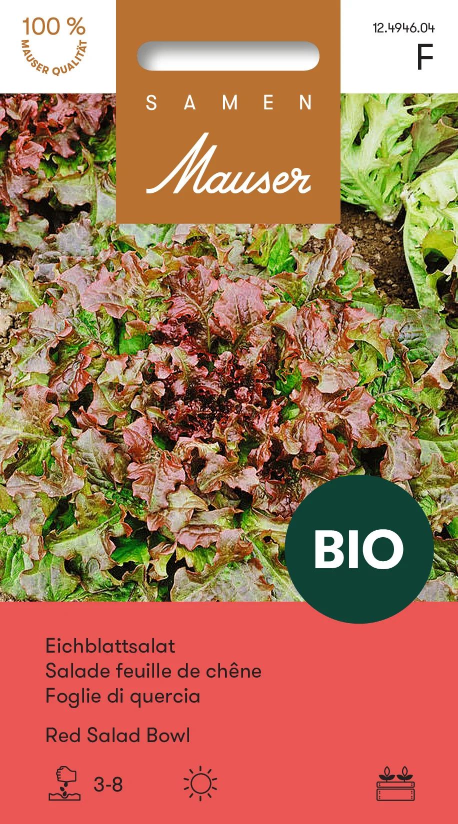 BIO Salade feuille de chêne Red Salad Bowl