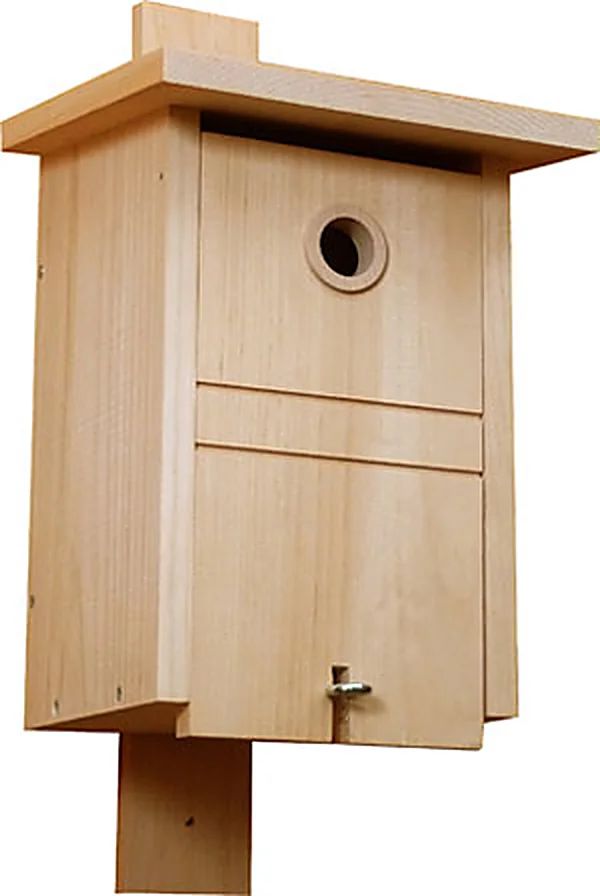 Nichoir pour mésanges Bewo en bois naturel FSC
