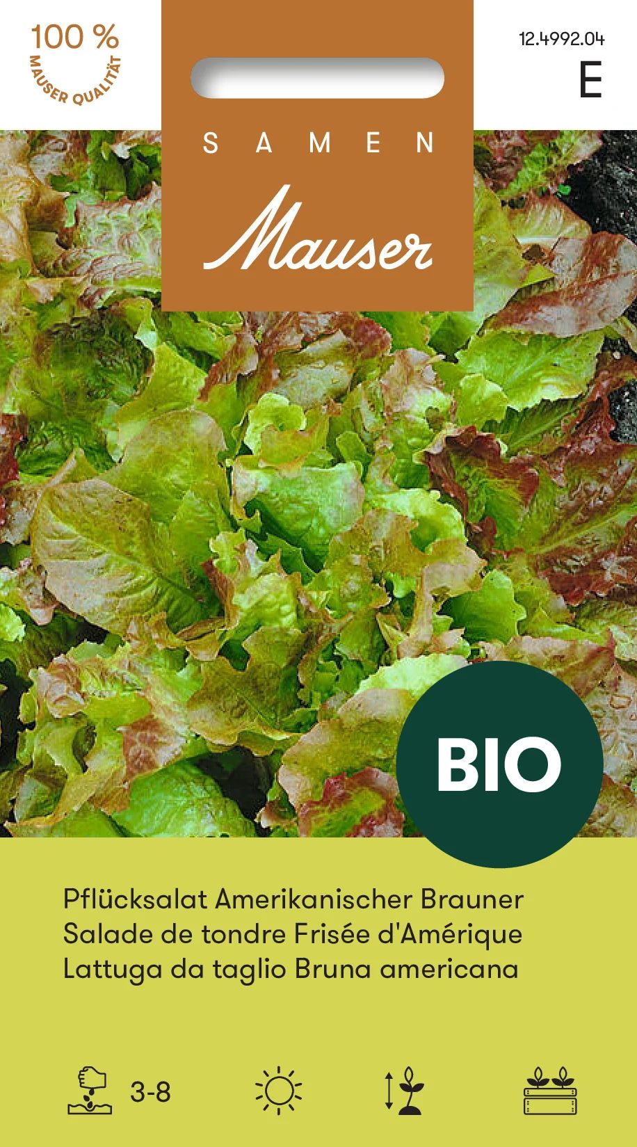 BIO Salade de tondre Frisée d’Amérique