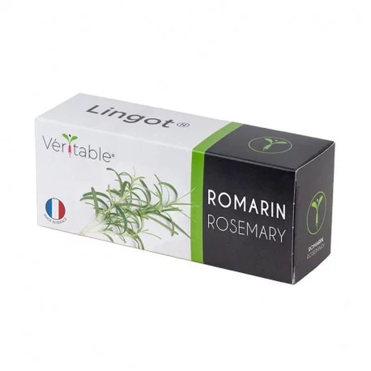 Graines Romarin - Lingot® Véritable