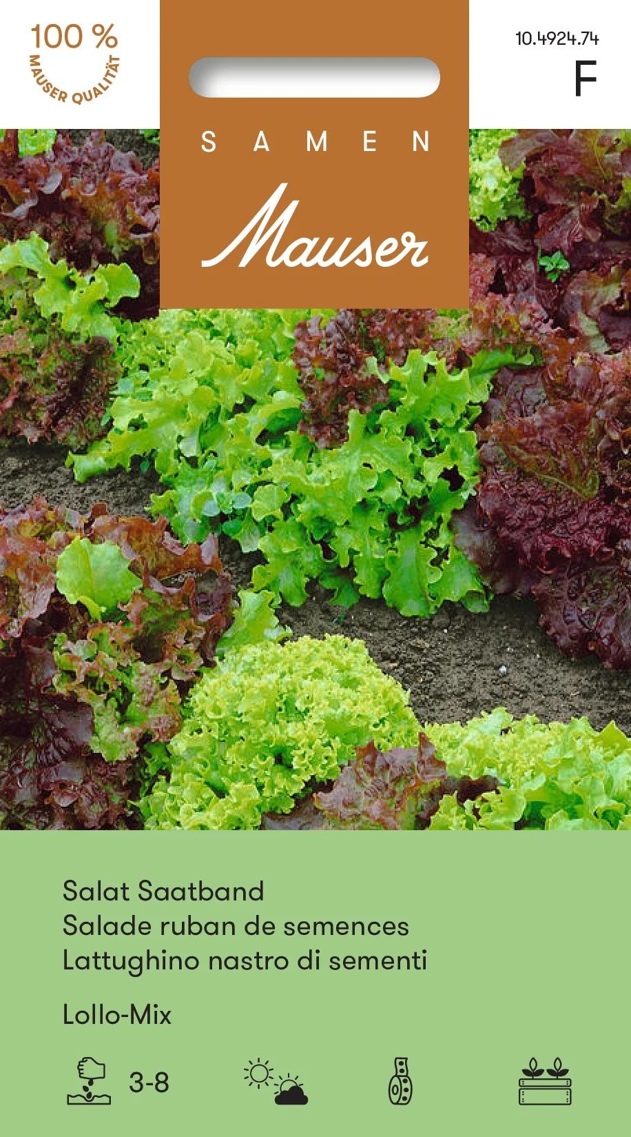 Salade Lollo en mélange, ruban de semis