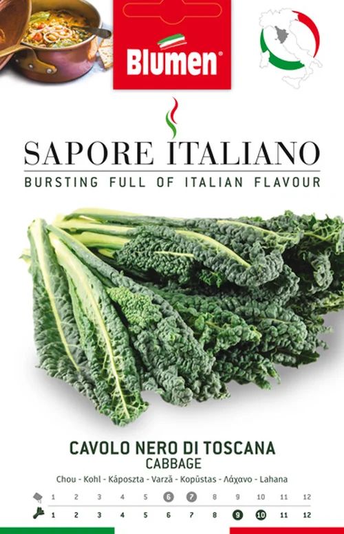 Chou Nero di Toscana