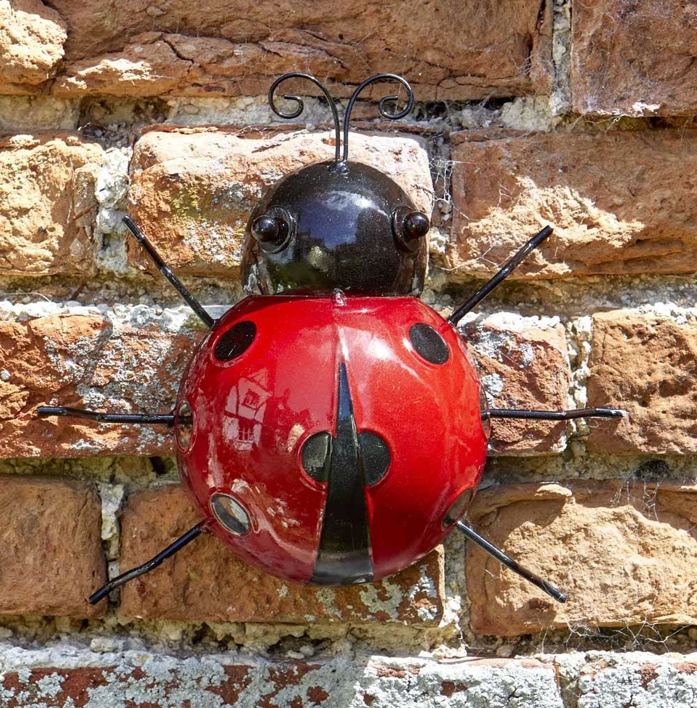 Décoration murale coccinelle « Hangers On » Medium, 15 × 12 cm